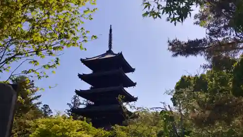 仁和寺の塔