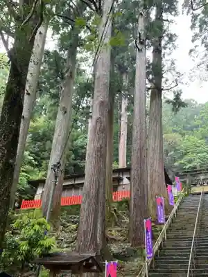鳳来山東照宮(愛知県)