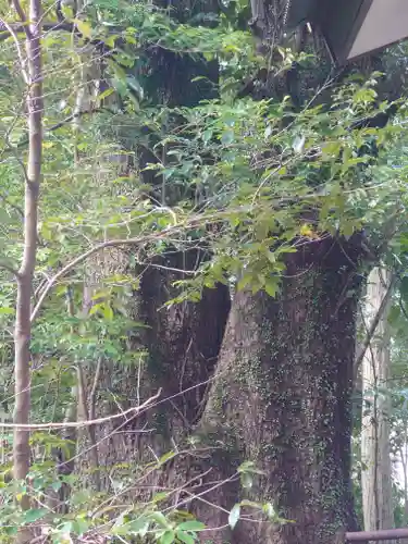 山神神社(神奈川県)
