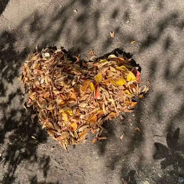彌彦神社 (伊夜日子神社)の庭園