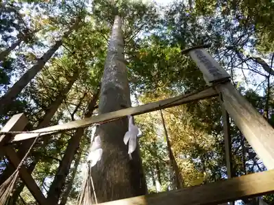 矢彦神社のその他建物