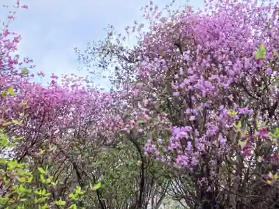 廣田神社(兵庫県)
