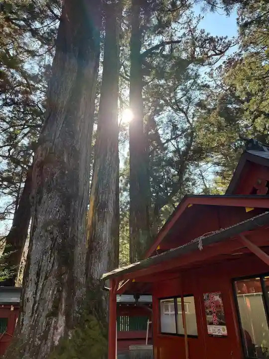 日光二荒山神社(栃木県)