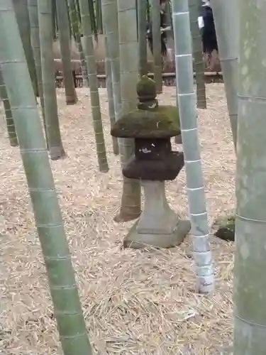 報国寺(神奈川県)