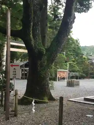 猿田彦神社のその他建物