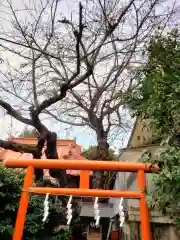 染井稲荷神社(東京都)