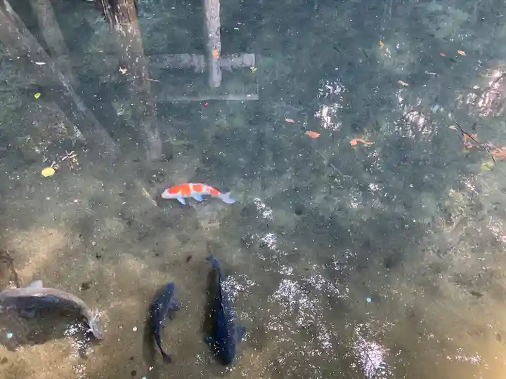 鹿島神宮(茨城県)