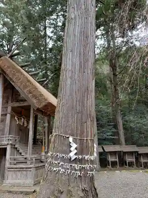 元伊勢内宮 皇大神社(京都府)