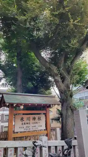 高円寺氷川神社の歴史