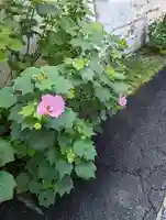 勝巖院(京都府)