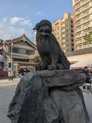 浅草神社の狛犬