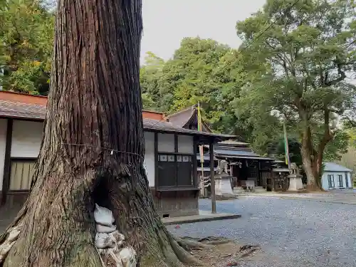 村檜神社(栃木県)