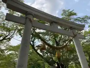 天鷹神社(岐阜県)(2022年09月17日(土) 18時06分34秒投稿)