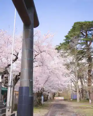 青森縣護國神社(青森県)