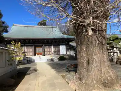 東光寺(東京都)