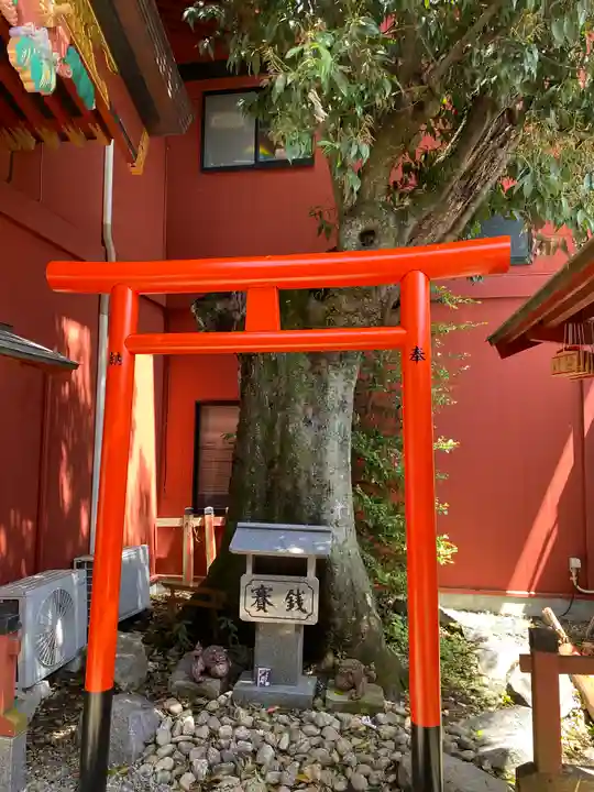 大杉神社(茨城県)