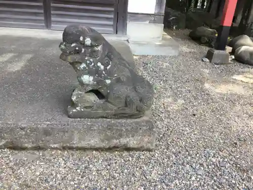 前川神社の狛犬