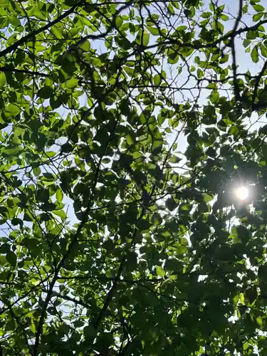 武蔵一宮氷川神社(埼玉県)