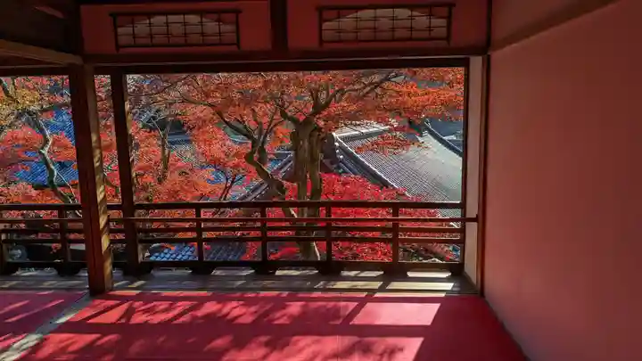 柳谷観音 楊谷寺(京都府)