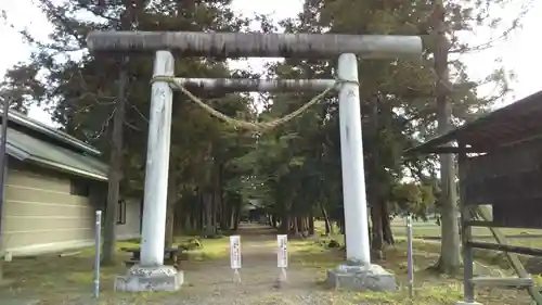 桜町二宮神社の鳥居