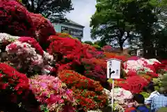 根津神社の庭園