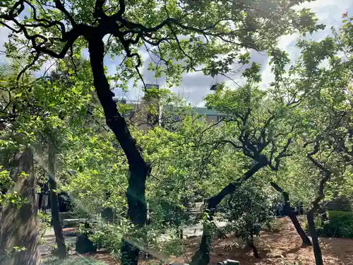湯島天満宮の庭園
