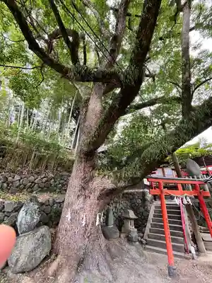 瓢箪山稲荷神社(大阪府)