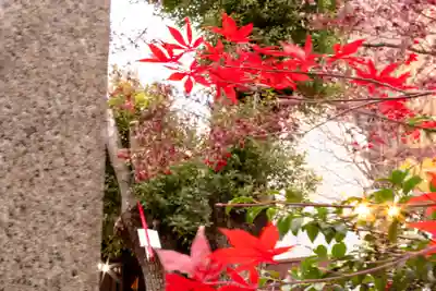 三輪神社(愛知県)