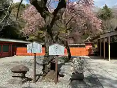 富士山本宮浅間大社(静岡県)