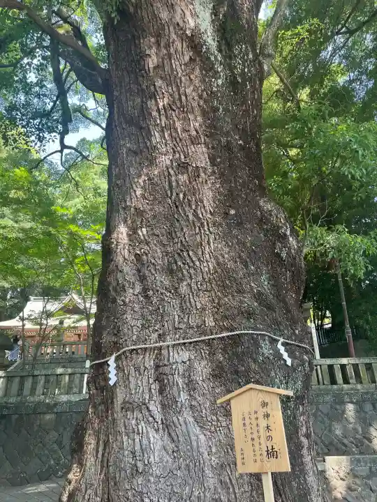 五所神社の{uncategorized: "未分類", other: "その他", undefined: "問題あり", building: "その他建物", grave: "お墓", sacred_gate: "鳥居", guardian: "狛犬", statue: "像", buddha: "仏像", history: "歴史", nature: "自然", garden: "庭園", animal: "動物", pagoda: "塔", temizu: "手水舎", mountain_gate: "山門・神門", sanctuary: "本殿・本堂", subordinate: "末社・摂社", art: "芸術", scenery: "景色", jizo: "地蔵", ema: "絵馬", goshuin: "御朱印", omikuji: "おみくじ", items: "授与品その他", amulet: "お守り", goshuincho: "御朱印帳", eats: "食事", festival: "お祭り", votive_dance: "神楽", shichigosan: "七五三参", wedding: "結婚式", experience: "体験その他", initially: "初詣", around: "周辺", anti_infection: "感染症対策"}
