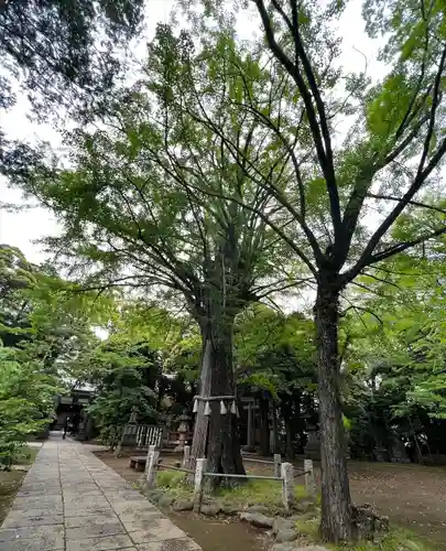 赤坂氷川神社(東京都)