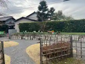 大源寺の庭園(2023年12月14日(木) 22時37分36秒投稿)