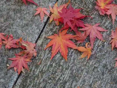白根神社の自然