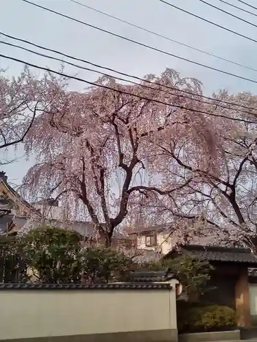 孝勝寺(宮城県)