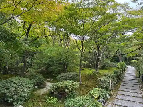 宝筐院(京都府)
