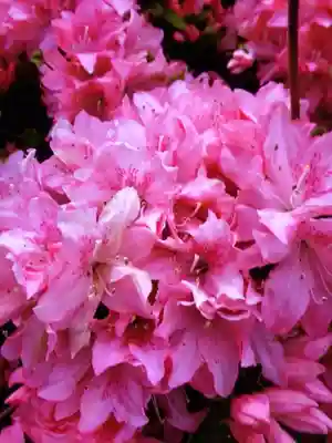 神足寺(東京都)