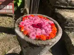 丹生都比売神社(和歌山県)