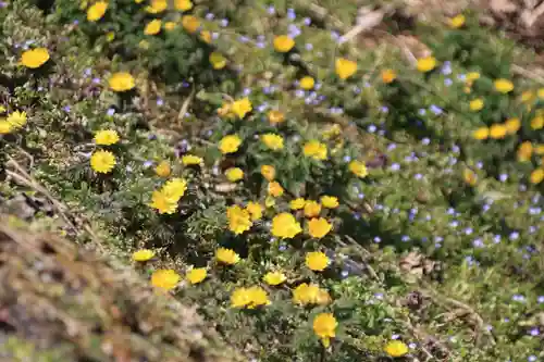 正観音堂の自然