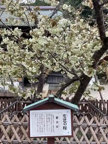 上地八幡宮(愛知県)