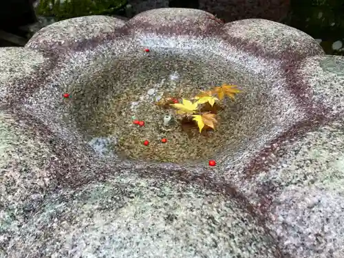 法然院(京都府)