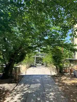 筒井八幡神社(兵庫県)