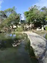 住吉神社(山口県)