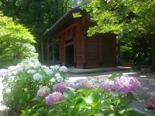 妙本寺の庭園