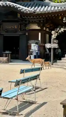 大聖院弥山本堂(広島県)