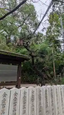 杭全神社(大阪府)
