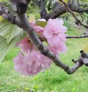 刺田比古神社(和歌山県)(2026年04月29日(水) 06時42分22秒投稿)