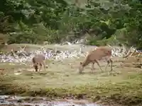 益救神社奥宮(鹿児島県)