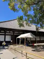 東寺（教王護国寺）(京都府)