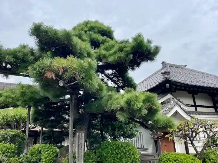 蓮華寺(東京都)
