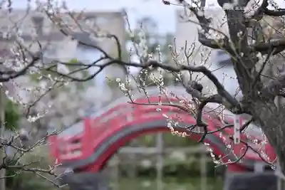 亀戸天神社(東京都)